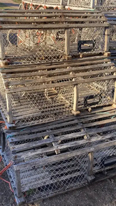 44 traps in total, made of oak 45inches long, 44 inch bow. Excellent fishing trap, ready to fish