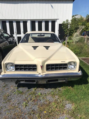 Pontiac Le Mans | Find Classic, Retro, Drag and Muscle Cars for Sale in