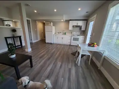 Unfurnished above ground basement suite - enjoy a bright comfortable suite. Above you live quiet adu...