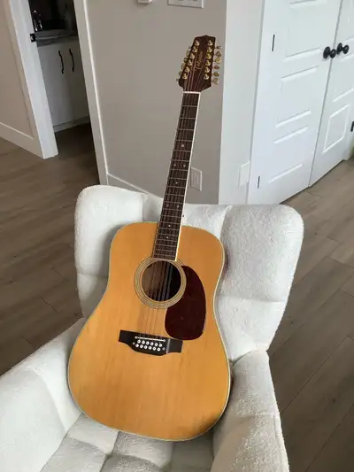 Takamine FP400S  12 string, View more