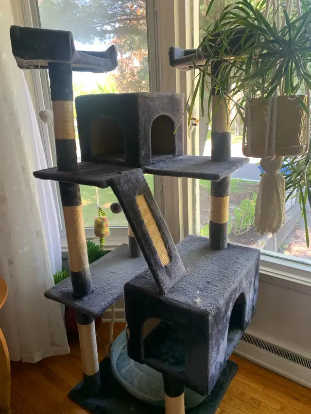 arbre pour chats ou chaton in Accessories in Longueuil / South Shore - Image 4