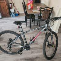 NorthRock XL 29' mountain bike $250