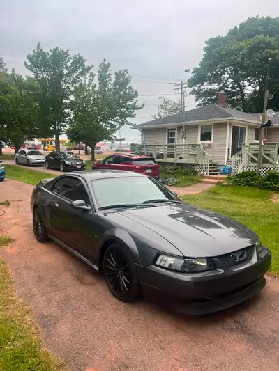 Straight piped, posi rear end, cold air intake,lowered, 1.5 inch wheel spacers on back wheels 280k o...