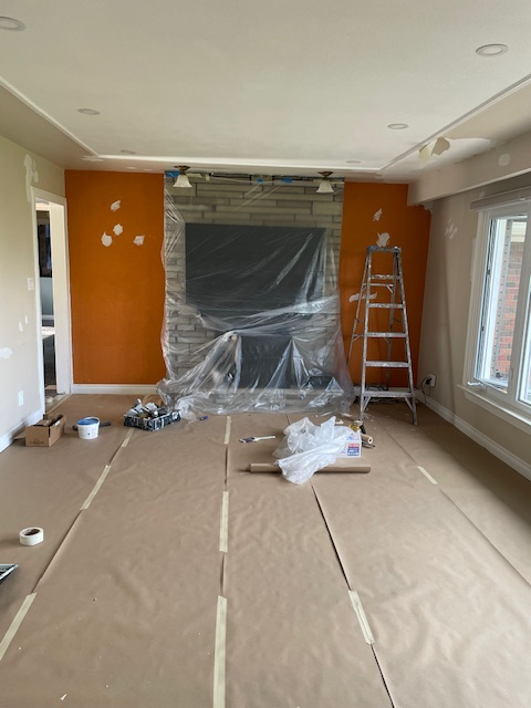 PROFESSIONAL PAINTER553848940780605443