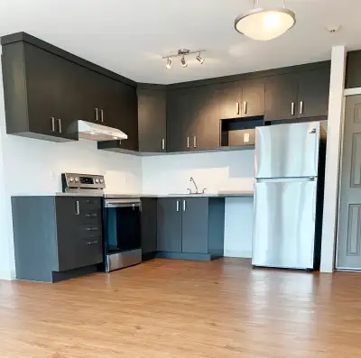 41/2 a louer $1275 par mois St-Agathe-des-Montes