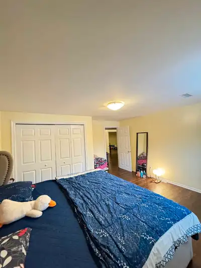 basement for rent