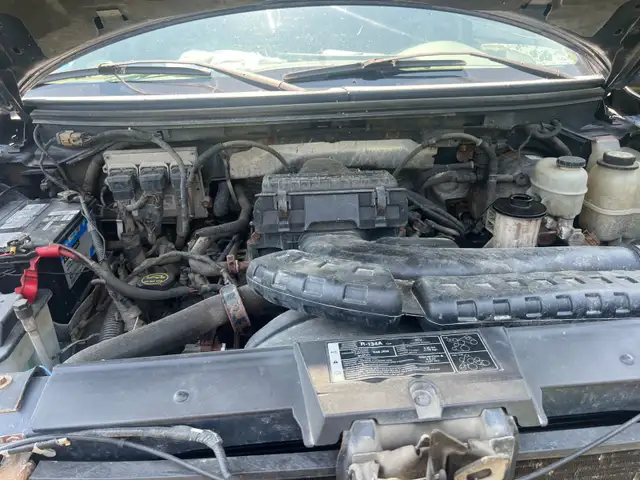F150 Truck 529384576533155847