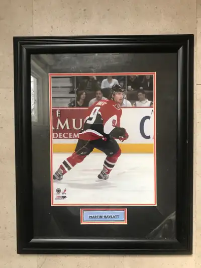 New. Martin Havlatt, 13”x16”