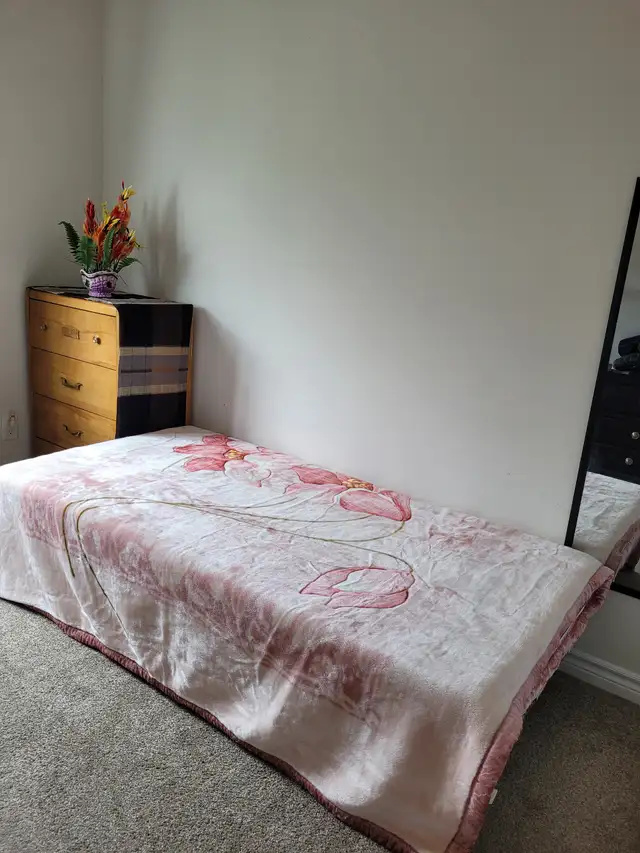 Room for rent ( female only ) in Room Rentals & Roommates in Ottawa - Image 2