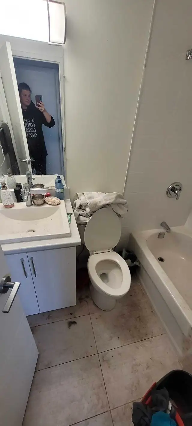 DEE'S CLEAN62866659550209123