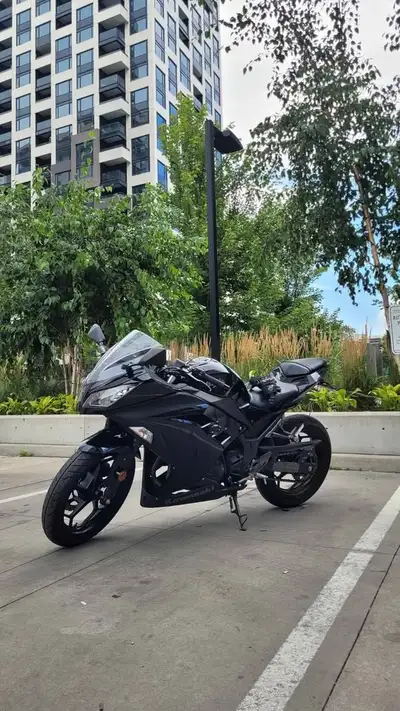 2014 Kawasaki Ninja EX300 motorcycle, all black Less than 5000 Kms (4600 kms last time I checked). V...