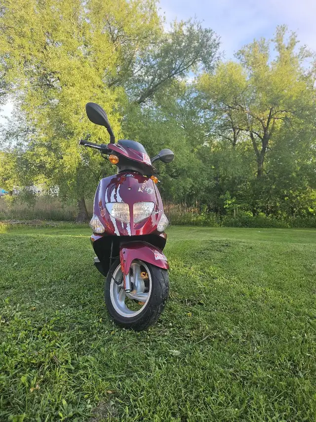2005 PGO T-REX 50 in Scooters & Pocket Bikes in Laval / North Shore - Image 2