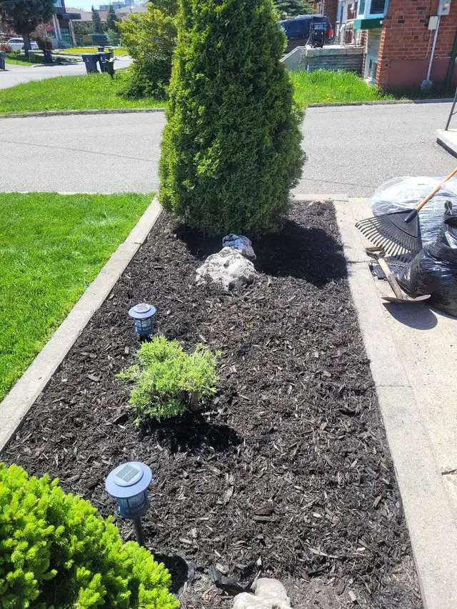 landscaping & lawn maintenance  in Lawn, Tree Maintenance & Eavestrough in City of Toronto - Image 10