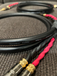 Canare 4S11 - Audiophile Grade Bi-Wire Speaker Cable
