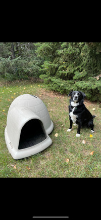 igloo dog house in Canada - Kijiji Canada
