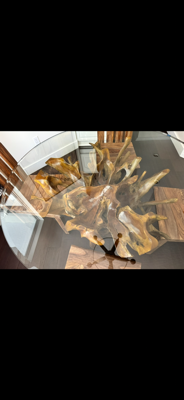 Teak Root table in Dining Tables & Sets in Hamilton - Image 4