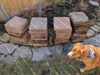 Free pavers / patio stones - Pending pickup, View more