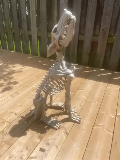 Howling Bonez 27. “ Animated Dog / Wolf Skeleton Halloween Prop, View more
