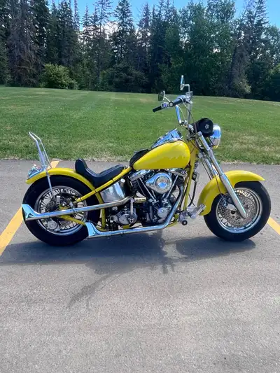 1978 Harley Davidson Shovelhead Stroker Hardtail with a 4 speed ratchet top transmission. It’s a str...