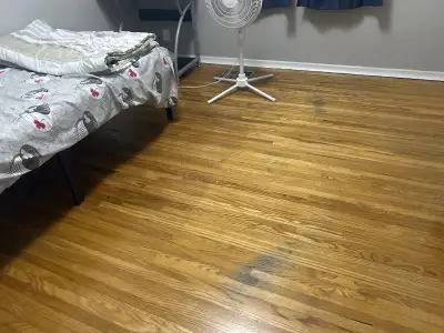 1 Private Bedroom Available – Ellesmere & Kennedy (Dec 2025 – Jan 2026) Looking for someone to rent...