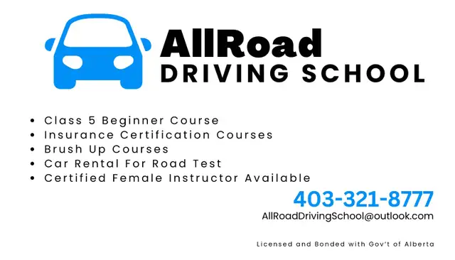 Driving Lessons64840195431554121