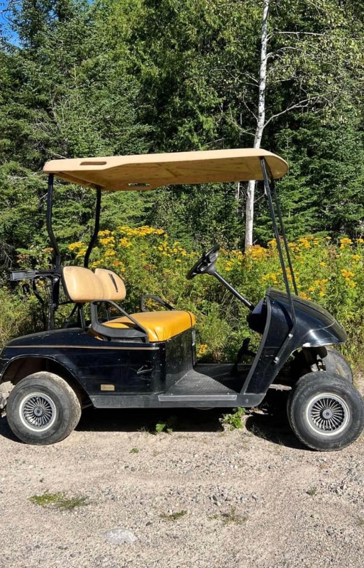 2 golf carts Other Thunder Bay Kijiji