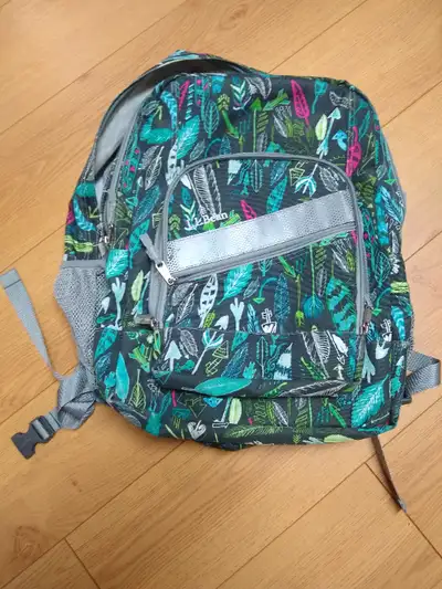 LLBean Deluxe Backpack, 37L. All zippers and buckles are in good condition and bag has been washed....