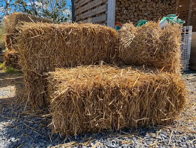 Straw Bales and More for Calgary Stampede – Rowdy Rentals62863279515906124