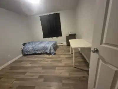 Looking for a female roommate in a 2 bedroom apartment Shared bathroom and kitchen Utilities include...