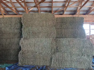 Hay for sale, View more