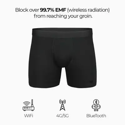 3 Pairs of HAVN Lambs EMF Protection Boxer Briefs, View more