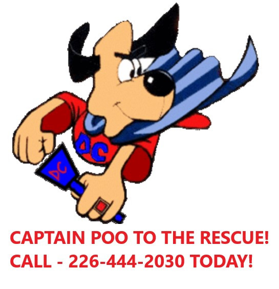 DOG WASTE, POO, POOP, YARD, LAWN SPRING CLEAN UP in Animal & Pet Services in Guelph