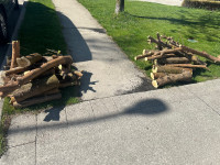 Tree wood log for free