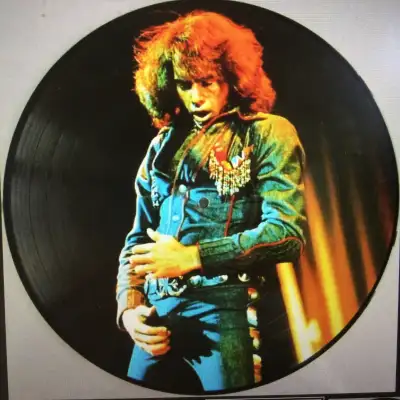 Neil Diamond VINYL  Picture Disc RECORD 12 Greatest Hits Import, View more