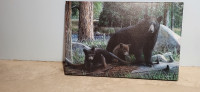 Canvas Print Bear Picture