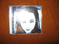 CD-Evanescence Fallen