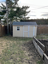 8x12 wood shed