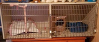 2 sided cage