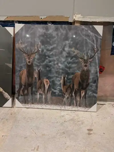 Deer Picture, View more