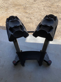 Bow flex dumbbell stand