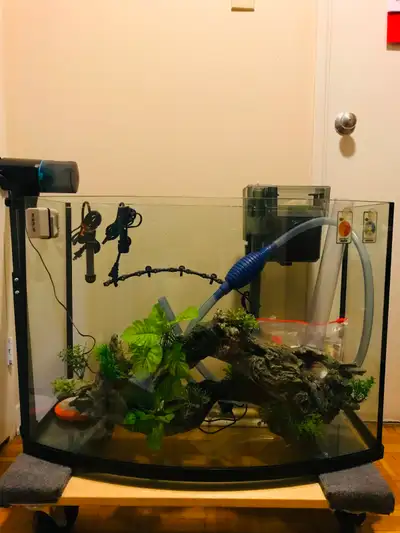 FINAL CLEARANCE ON MY 42 G. RIMELESS BOW FRONT CURVED TANK SET!, View more