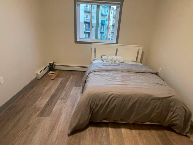 ROOM TO RENT IN  2 BED and 2BATH. in Room Rentals & Roommates in Edmonton
