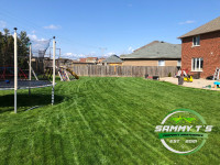Affordable Weekly Residential Grass Cutting Contracts/Yard Work
