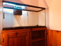 *Sold-40 Gallon Aquarium, Wooden Cabinet & Colour Changing Light