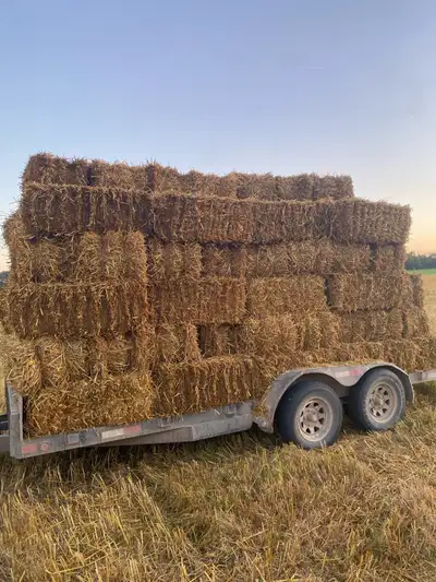 straw bales, View more