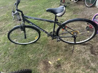 Supercycle Solaris Bike, View more