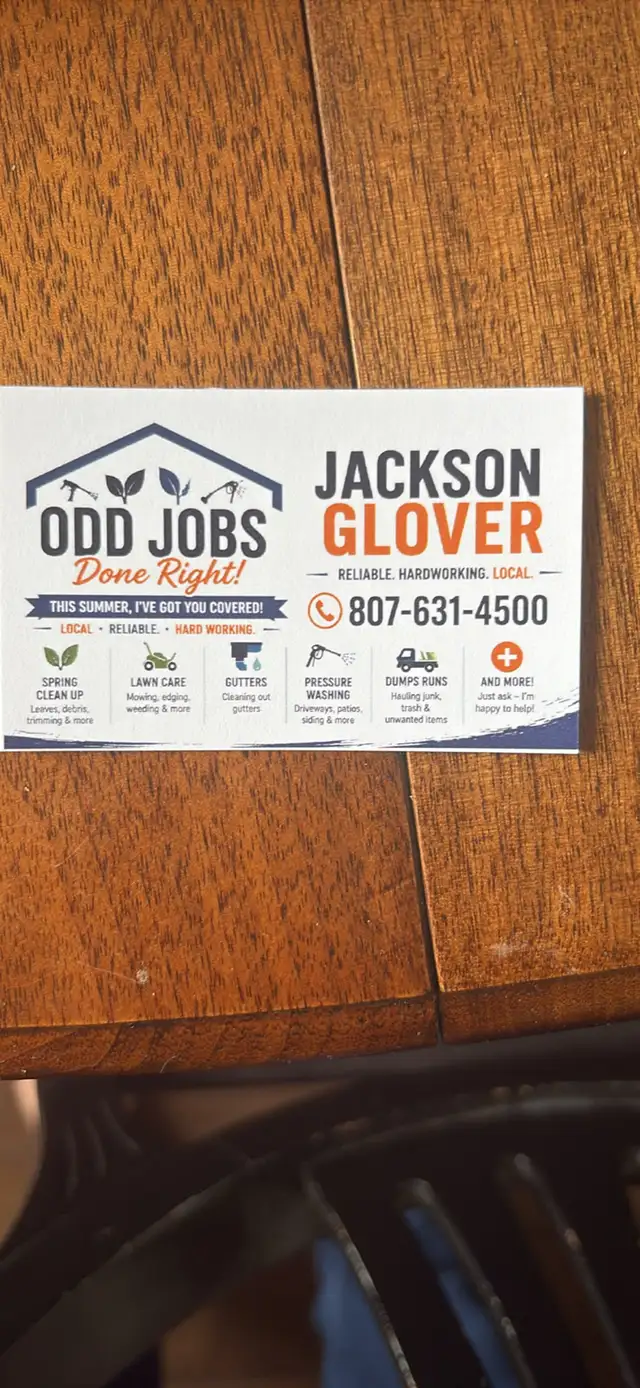Local Odd Jobs –  Clean Ups, Junk Removal,Gutters Lawn care in Other in Thunder Bay - Image 5