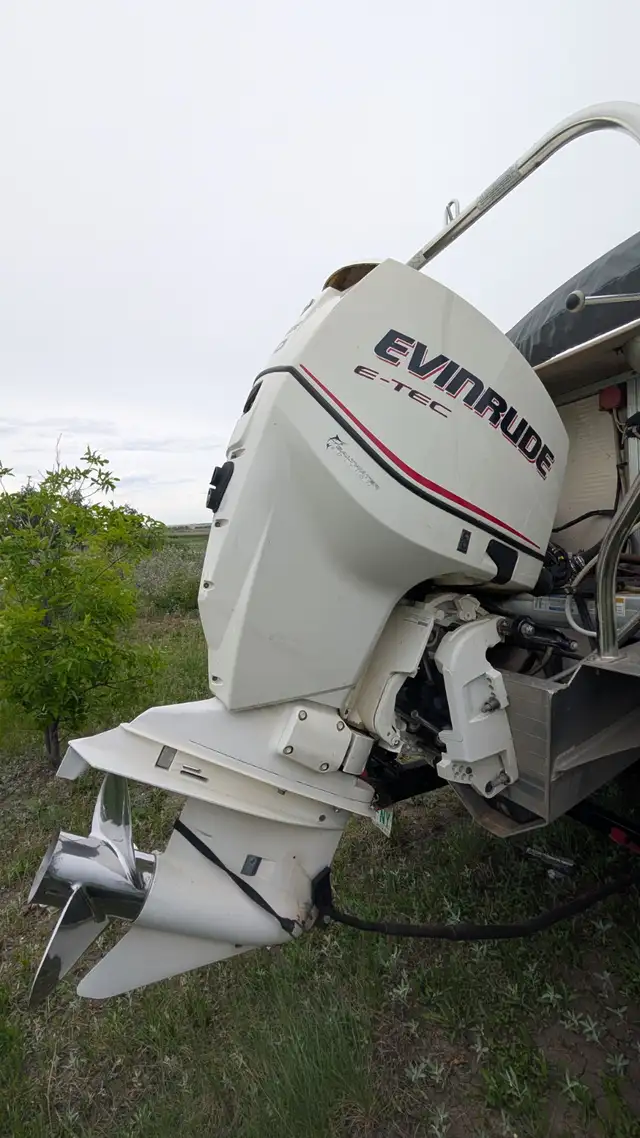 SWEETWATER PONTOON 2008 in Powerboats & Motorboats in Saskatoon - Image 3