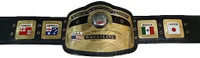 Domed Globe NWA World Heavyweight Wrestling Replica Championship