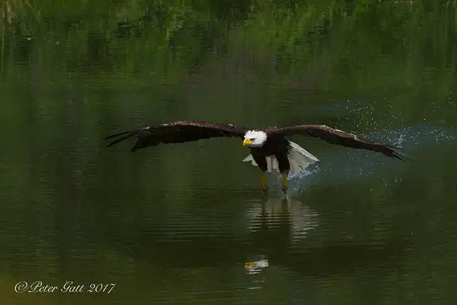 LIVE Interactive Photography Courses (Online)64551245072259123